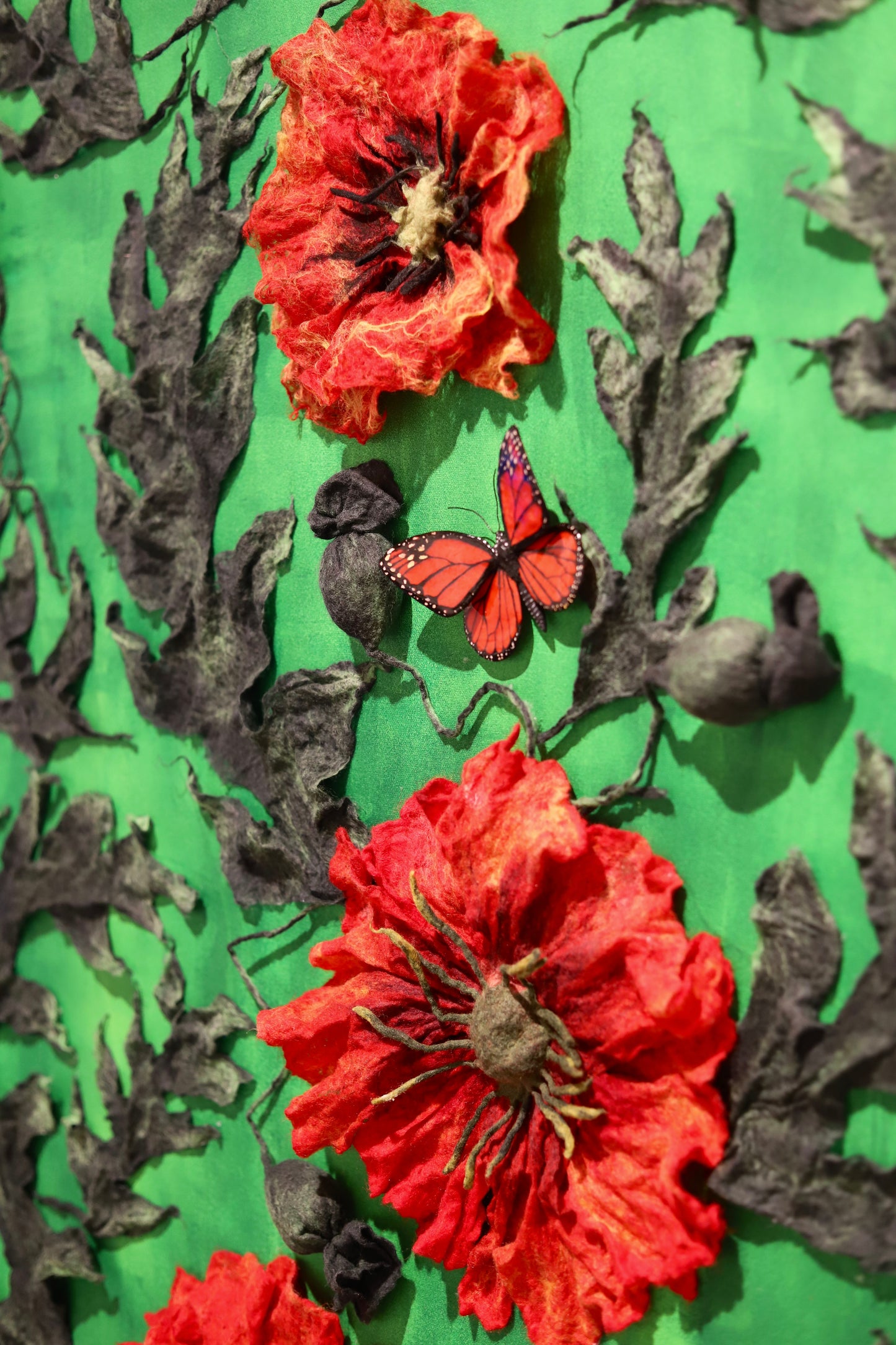 Poppy N2