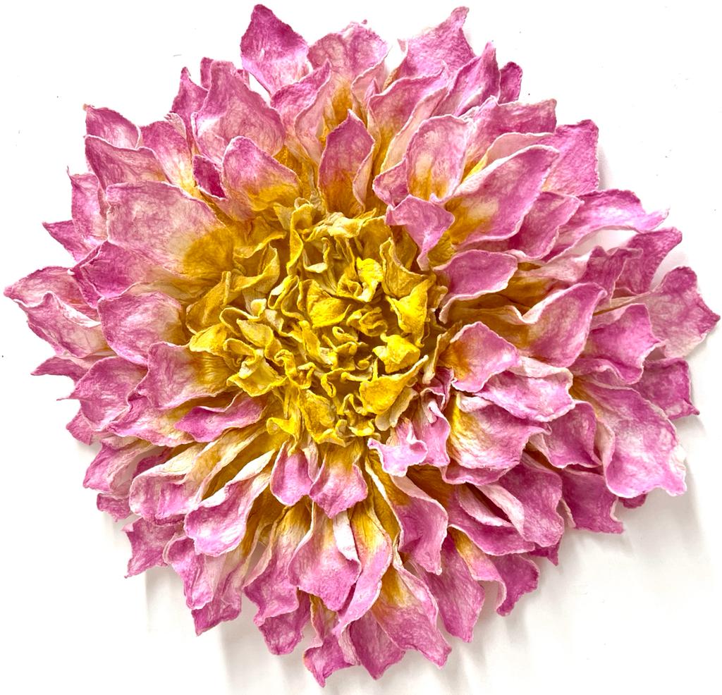 Dahlia